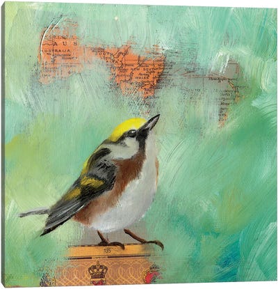 Finch Home I Canvas Art Print - Lisa Lamoreaux