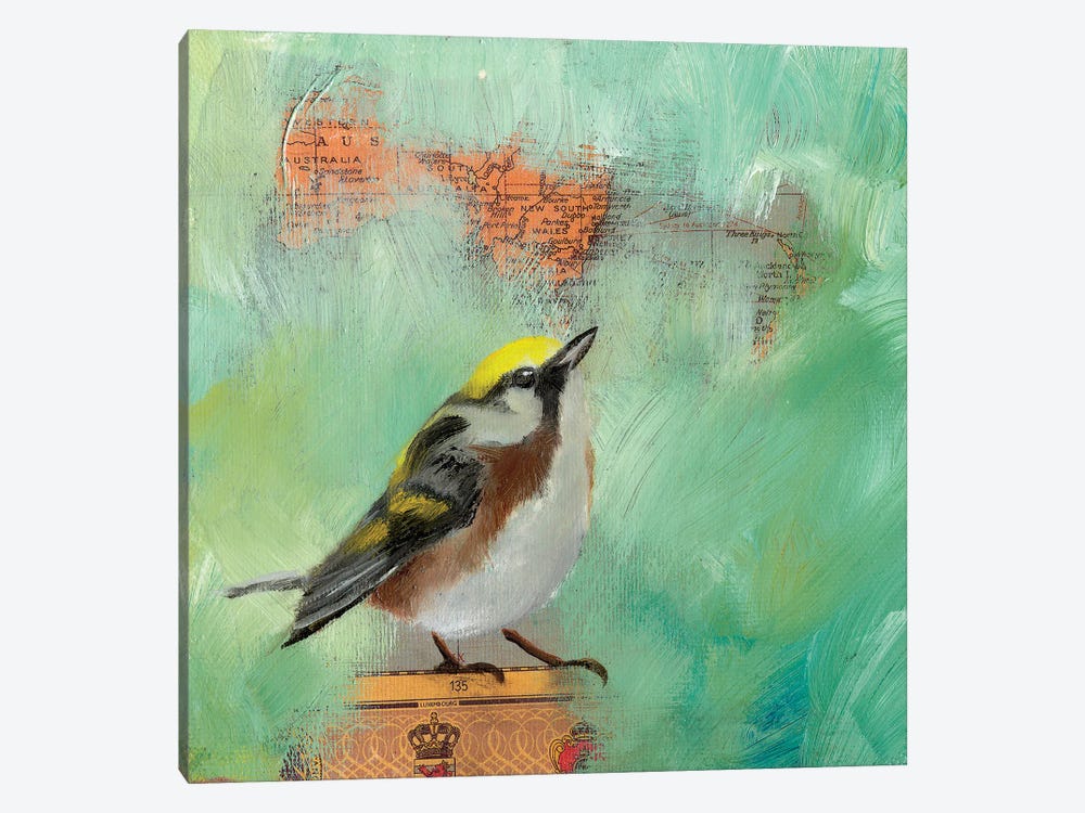 Finch Home I by Lisa Lamoreaux 1-piece Canvas Art Print