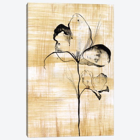 Gilded Beauty I Canvas Print #LLY1} by Lily Liama Canvas Art Print