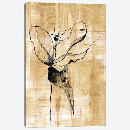 Gilded Beauty II Canvas Print #LLY2} by Lily Liama Canvas Print