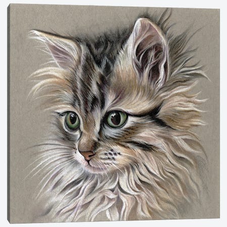 Kitten Portrait I Canvas Print #LLY4} by Lily Liama Canvas Art
