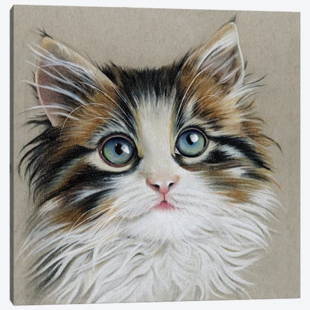 Kitten Portrait II Canvas Print #LLY5} by Lily Liama Canvas Art