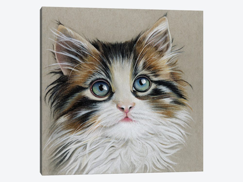 Kitten Portrait II by Lily Liama 1-piece Canvas Wall Art