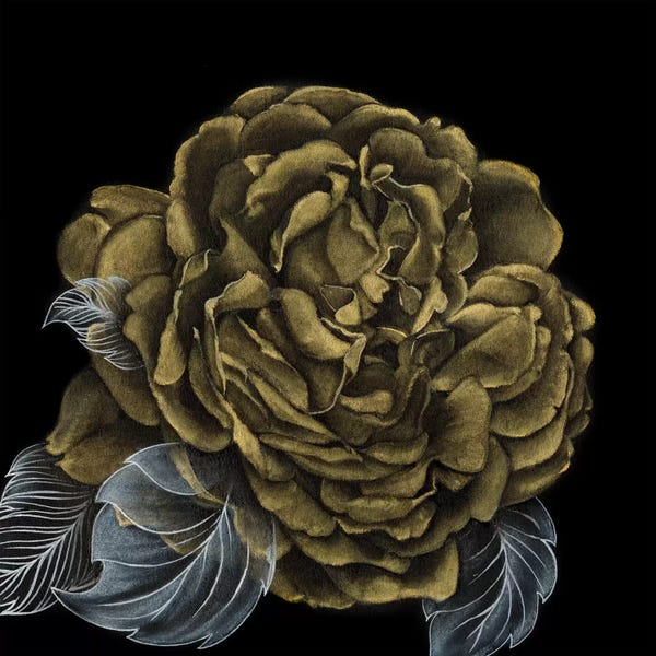 Black: River Roses II by Lily Liama