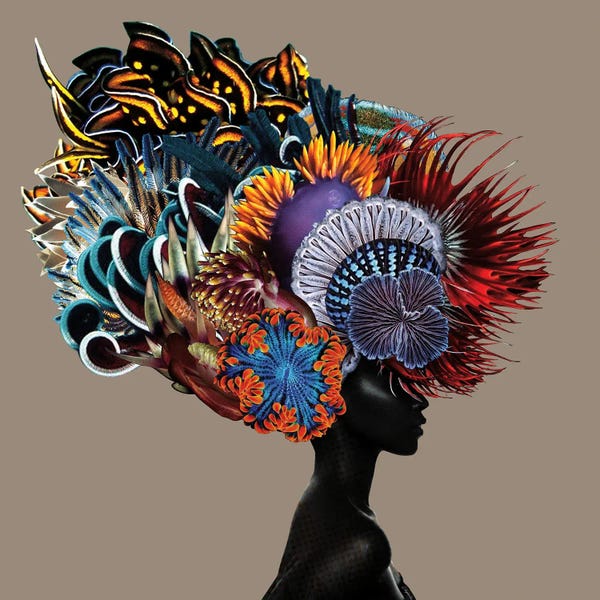 Large Floral & Botanical Art - Canvas Prints: Crowning Glory I by Lolita Lorenzo