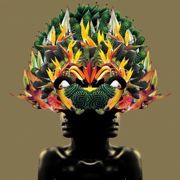 Cacti: Tree Of Life by Lolita Lorenzo