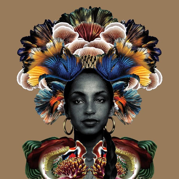 Jazz: Your Love Is King by Lolita Lorenzo