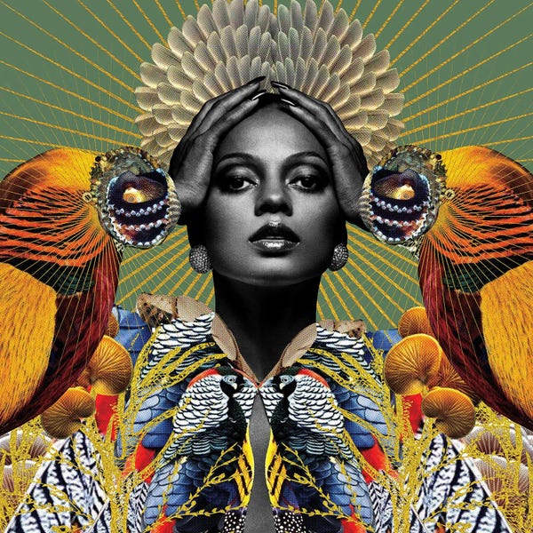 Large Photography - Canvas Prints: Iris by Lolita Lorenzo