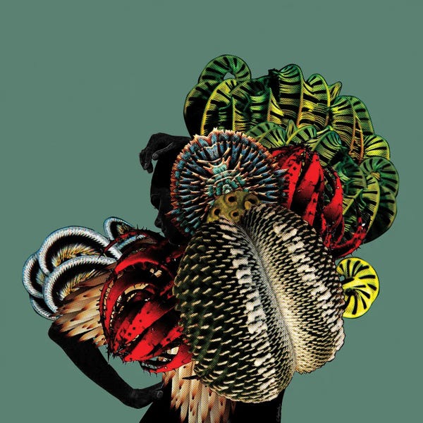 Fashion Photography: Archangel by Lolita Lorenzo