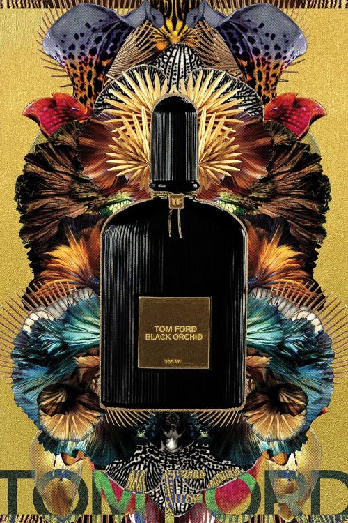 Black Orchid by Lolita Lorenzo wall art