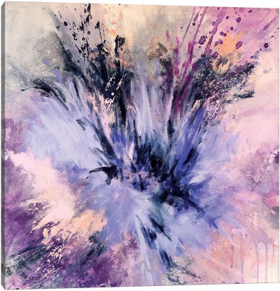 Spring Star Burst Canvas Art Print - Laura Mae Dooris