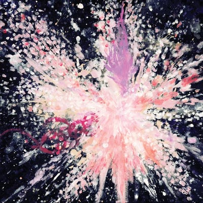 Feather Dust by Laura Mae Dooris canvas print