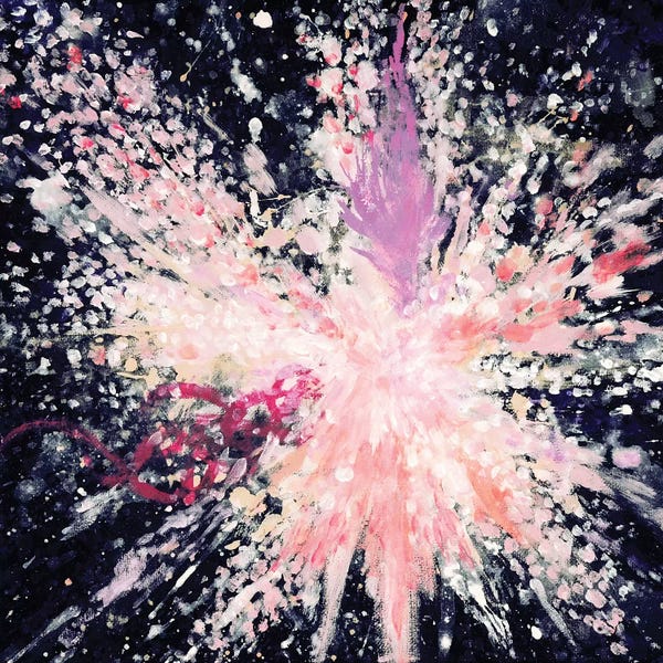 Laura Mae Dooris: Feather Dust by Laura Mae Dooris