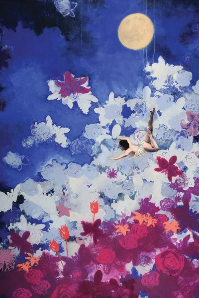 Night Swimmer by Laura Mae Dooris canvas print