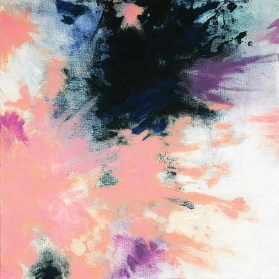 Pink Dreams by Laura Mae Dooris canvas print