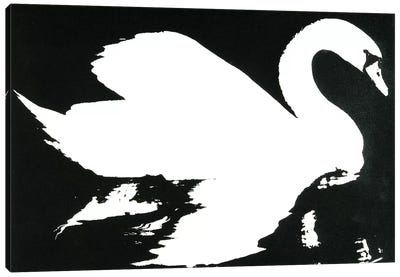 Swan Study 1 Canvas Art Print - Swan Art