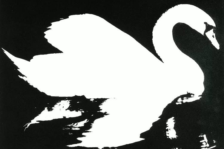 Swan Study 1 by Laura Mae Dooris wall art