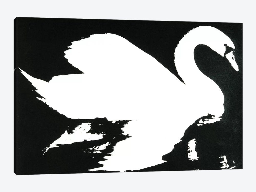 Swan Study 1 by Laura Mae Dooris 1-piece Canvas Wall Art