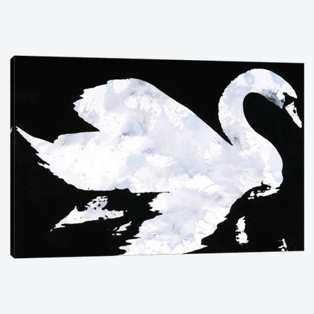 Swan Study 2 Canvas Print #LMD40} by Laura Mae Dooris Canvas Art Print