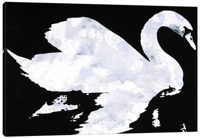 Swan Study 2 Canvas Art Print - Laura Mae Dooris