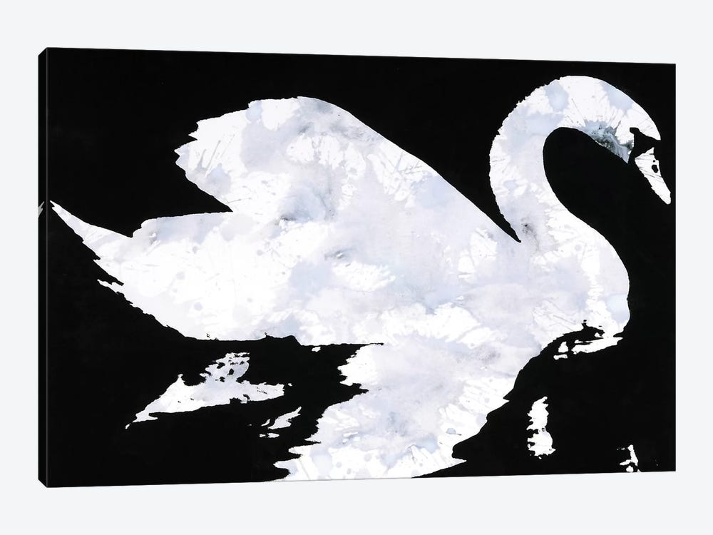 Swan Study 2 by Laura Mae Dooris 1-piece Canvas Wall Art