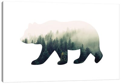 Bear Silhouette I Canvas Art Print