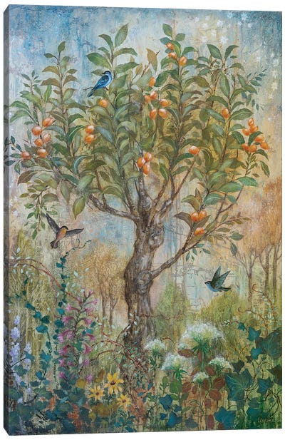 Apricot Enchantment Canvas Art Print - Lisa Marie Kindley