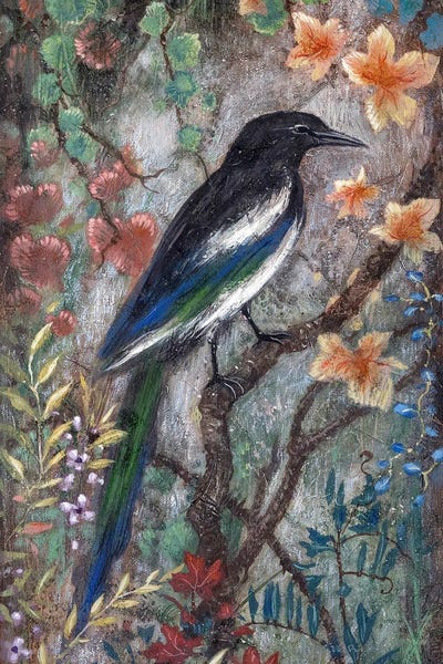Magpie by Lisa Marie Kindley framed wall art