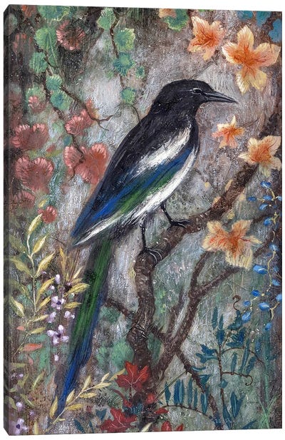 Magpie Canvas Art Print - Lisa Marie Kindley
