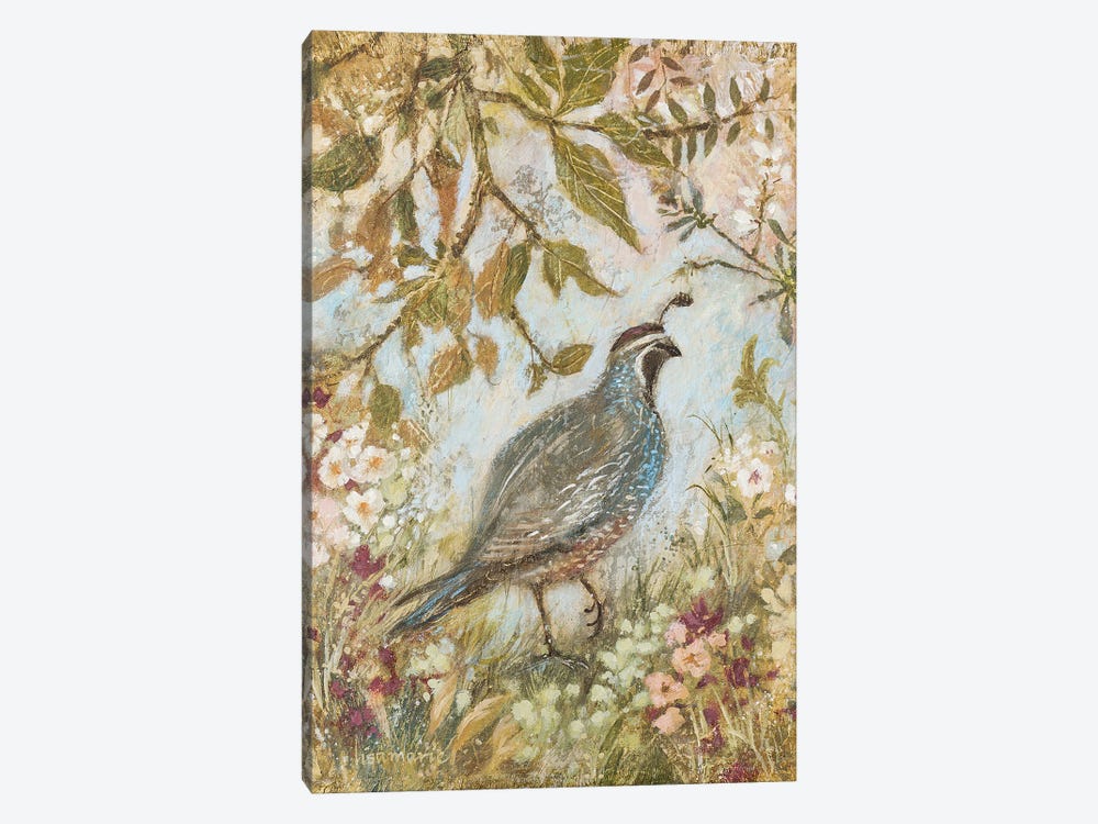 Quail Steps Out by Lisa Marie Kindley 1-piece Canvas Artwork