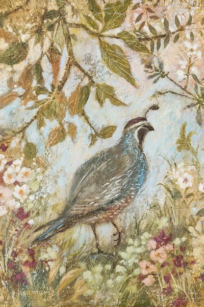 Quail Steps Out