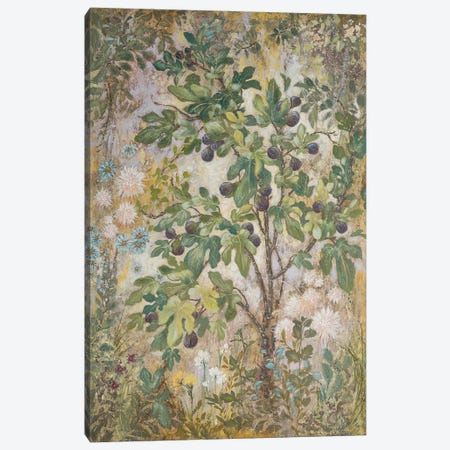 Fig Tree Canvas Print #LMK6} by Lisa Marie Kindley Canvas Artwork