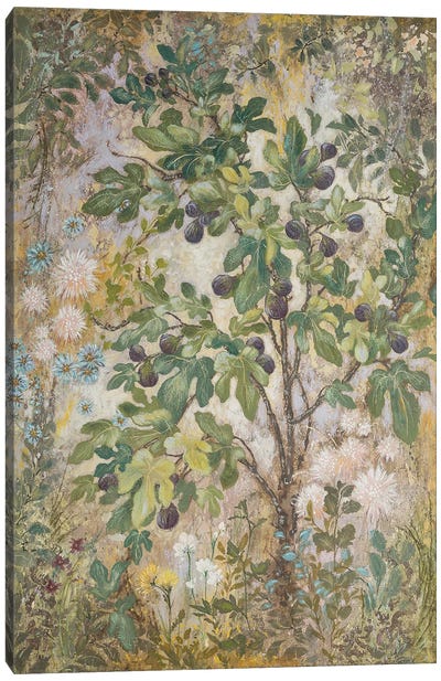 Fig Tree Canvas Art Print - Fruit Art