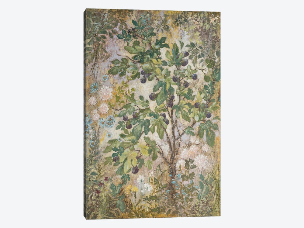 Fig Tree by Lisa Marie Kindley 1-piece Canvas Art