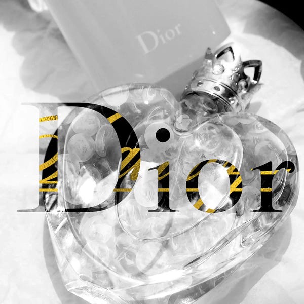 Dior: Hiding Go Seek by 5by5collective