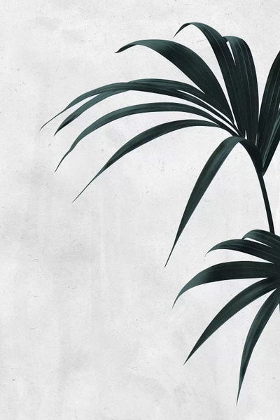 Japandi: Humble by LEEMO