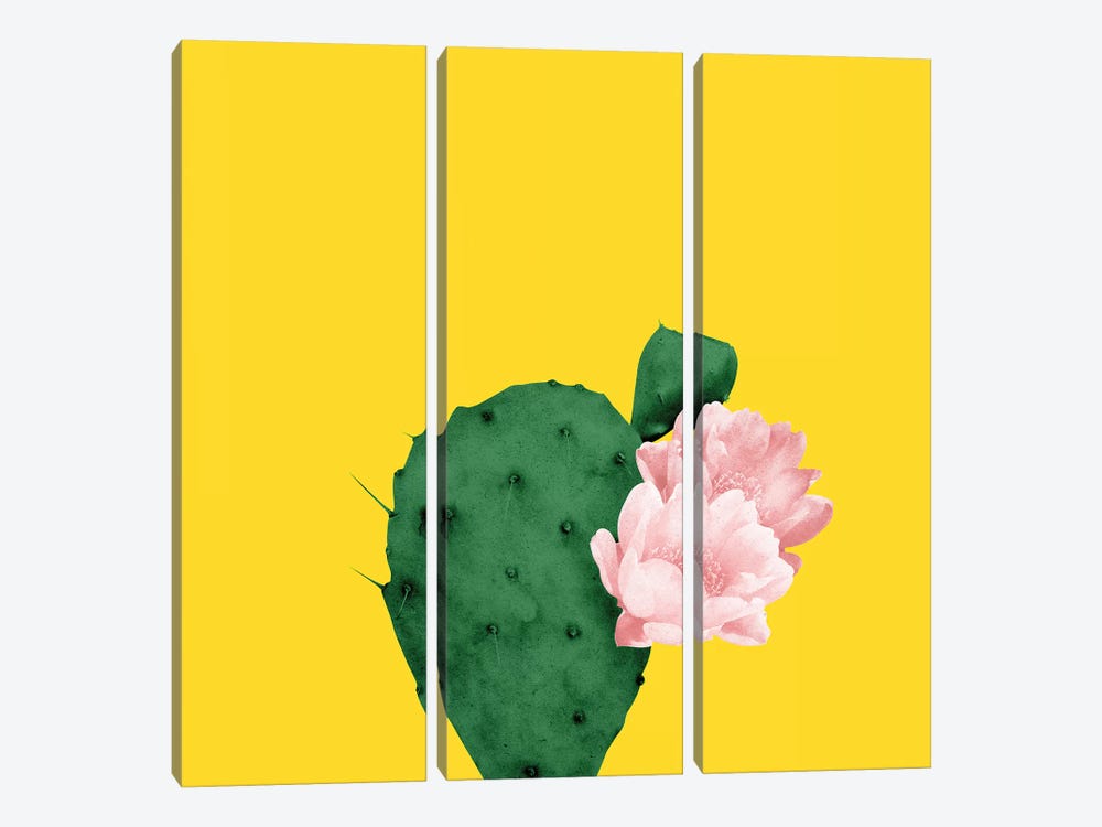 In Bloom by LEEMO 3-piece Canvas Print