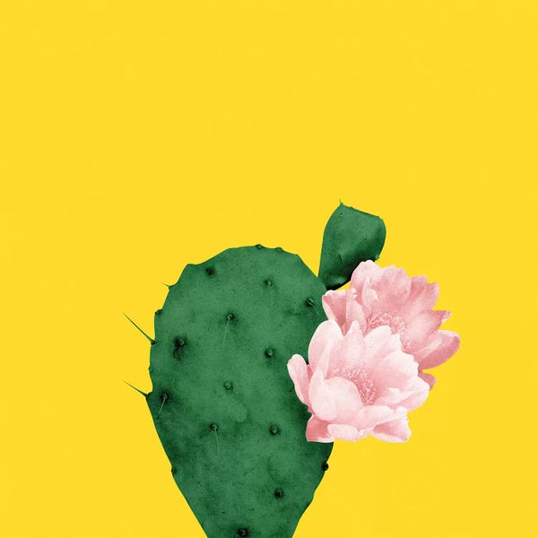 Cacti: In Bloom by LEEMO