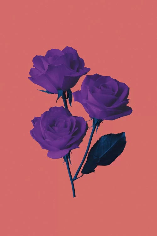 Les Fleurs du Mal by LEEMO wall art