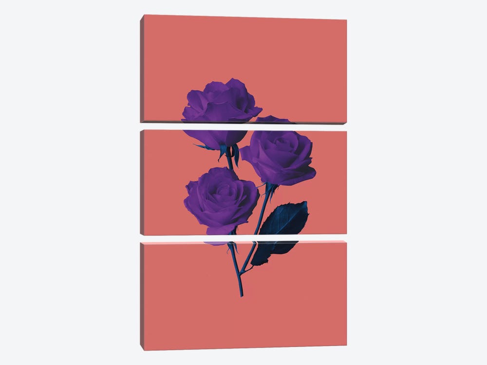 Les Fleurs du Mal by LEEMO 3-piece Art Print