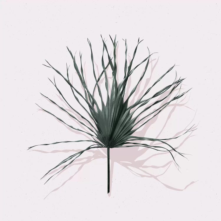 Solo II by LEEMO wall art