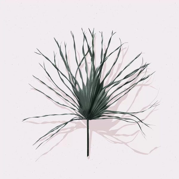 Ferns: Solo II by LEEMO