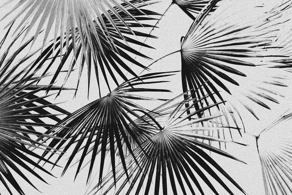 Ferns: Tropical V by LEEMO