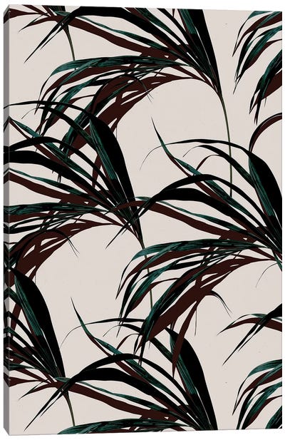 Tropical VII Canvas Art Print - Zen Décor