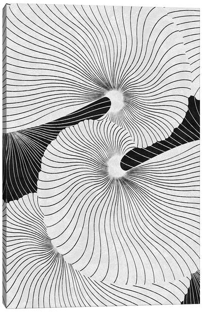 Shell Canvas Art Print - Black & White Decorative Art