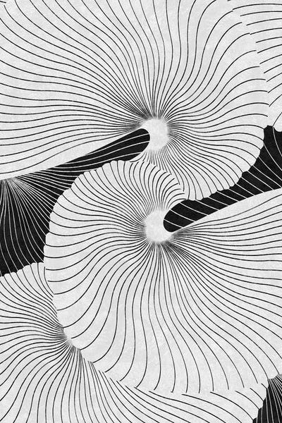 Large Modern Art - Canvas Prints: Shell by LEEMO