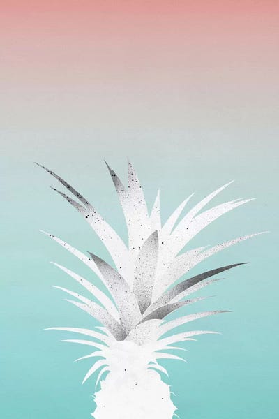 Minimalist Décor: Ananas Comosus by LEEMO