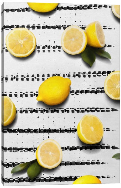Fruit IV Canvas Art Print - Lemon & Lime Art