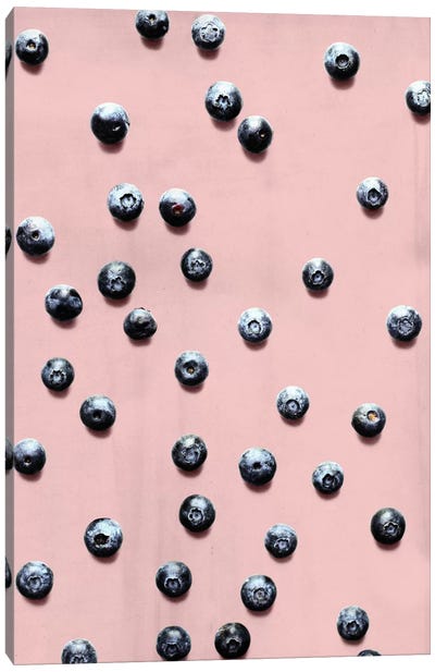Fruit XII Canvas Art Print - Black & Pink Art