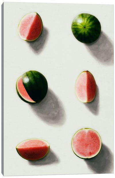 Fruit XIV Canvas Art Print - Green & Pink Art